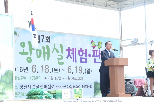 제7회 순성 왕매실축제_0