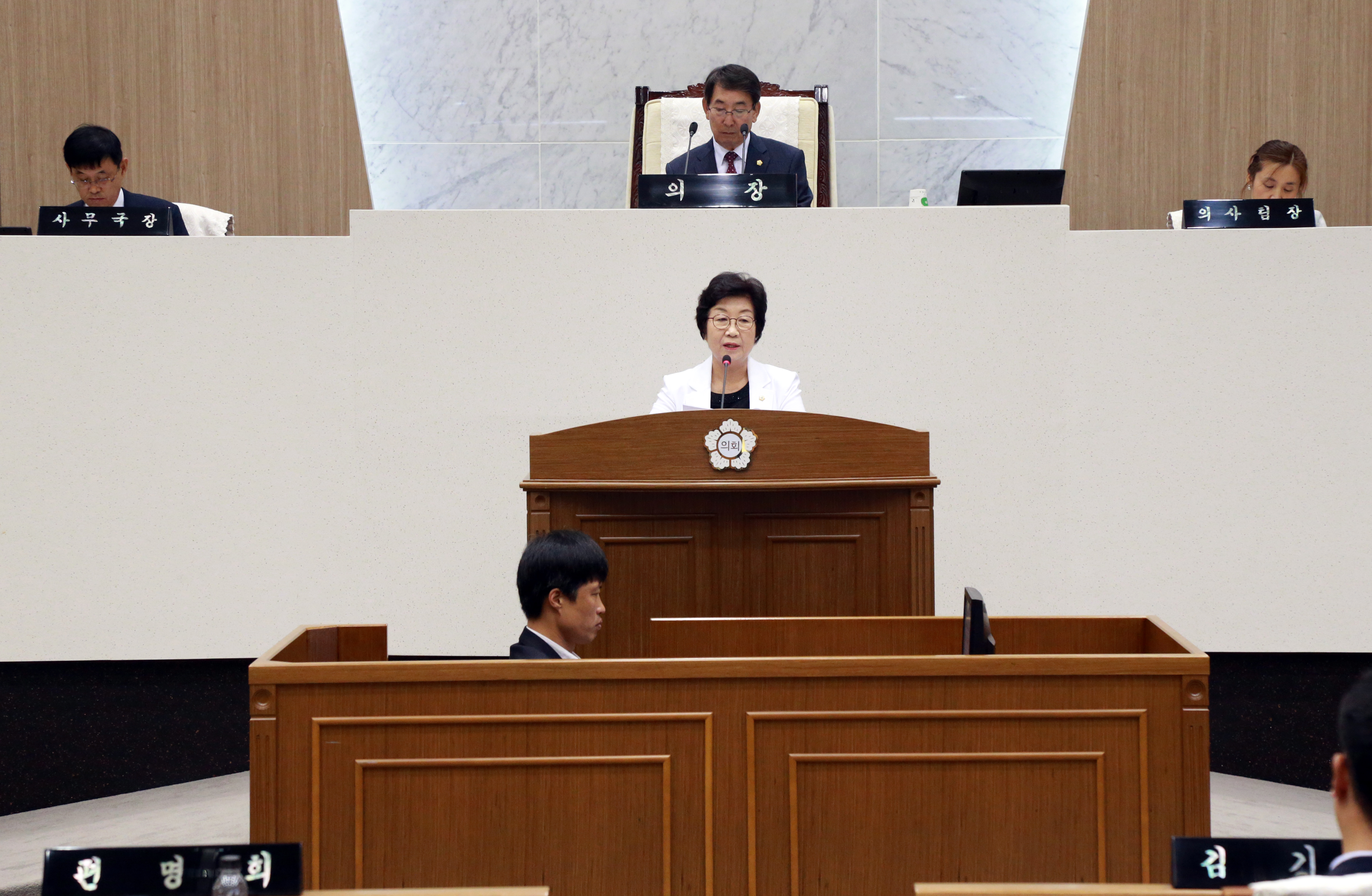 당진시의회, “화력발전소 위치지역 전선지중화 지원 건의안