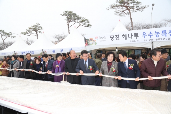 제17회 당진 해나루쌀 농특산물 대축제_1