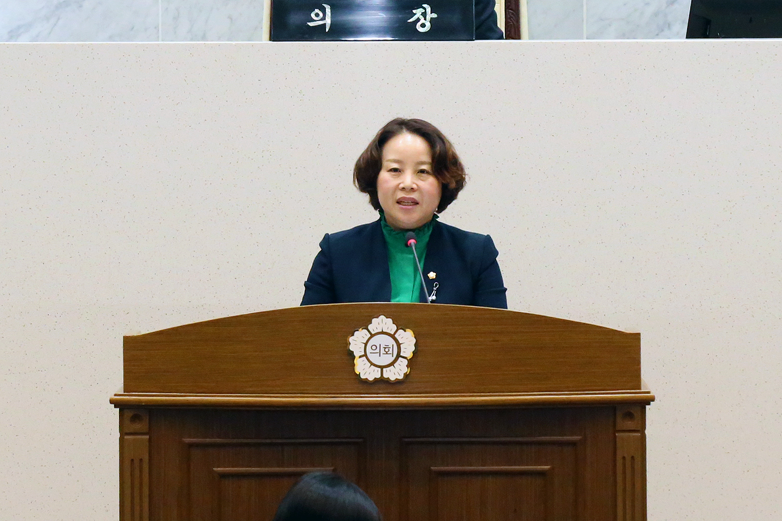 최연숙 의원 5분발언_미세먼지 피해저감 및 지원대책을 촉구한다