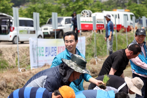 남북평화 기원 통일쌀 모내기 행사_3