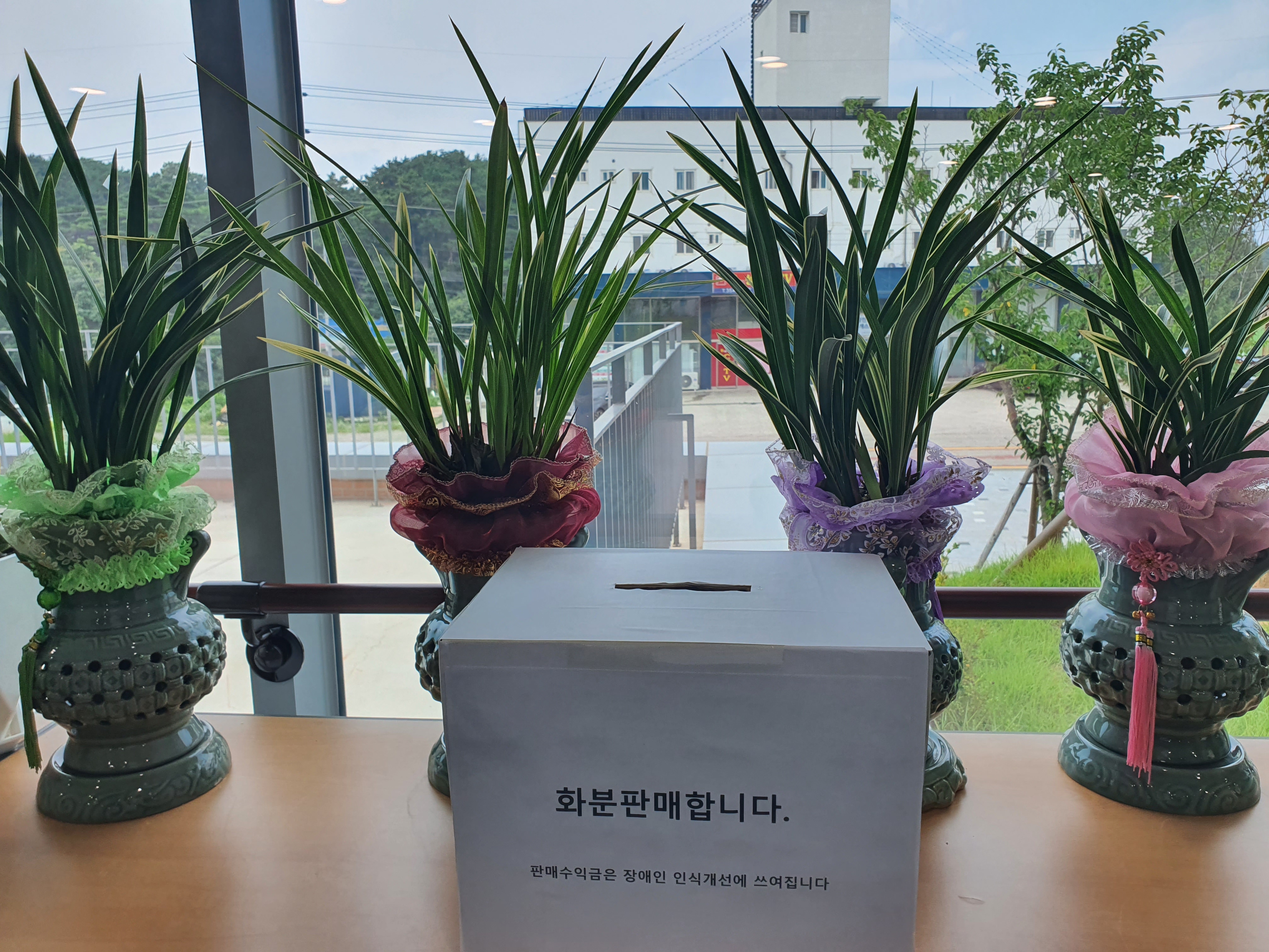 당진시의회 의원 당선 축하 화분 기부