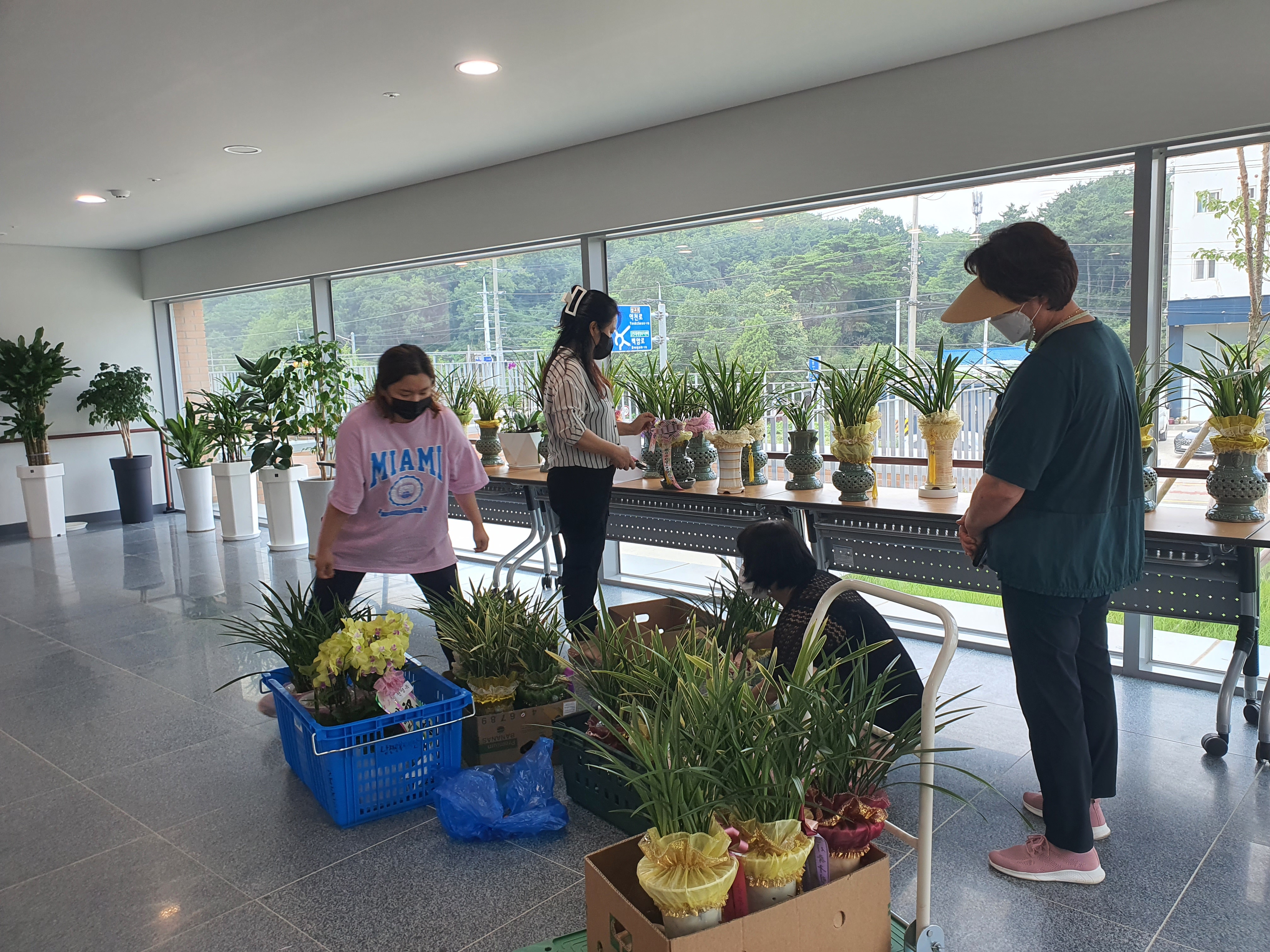 당진시의회 의원 당선 축하 화분 기부