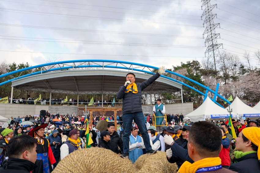 기지시줄다리기 축제 줄결합 및 줄다리기_2